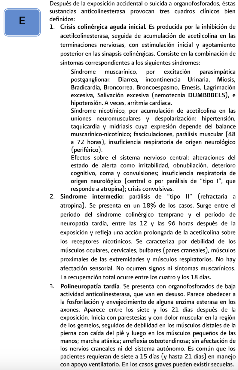 4. Cuadro clínico 2 - GPC-SS-100